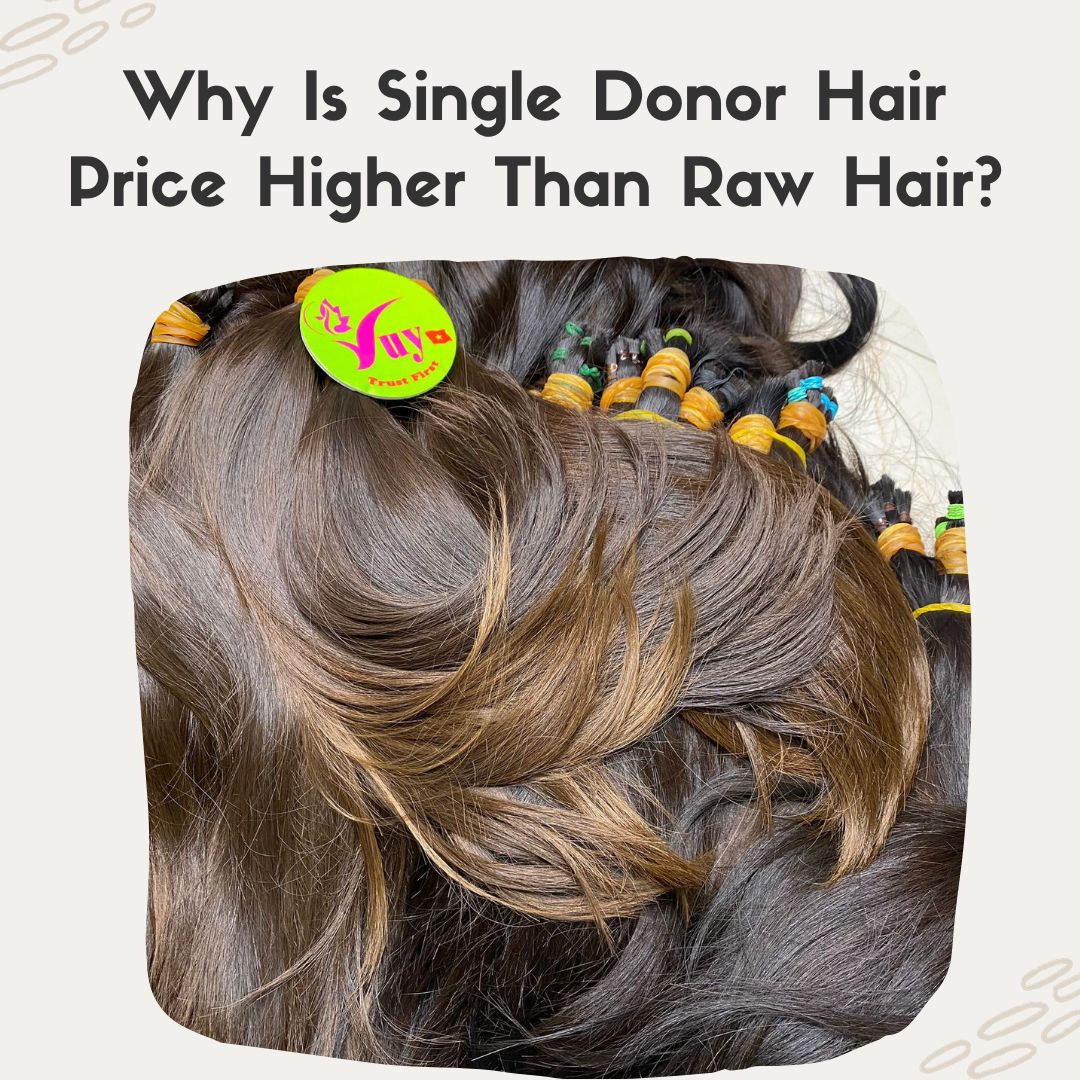 Why Is Single Donor Hair Price Higher Than Raw Hair? Vietnam Hair Factory