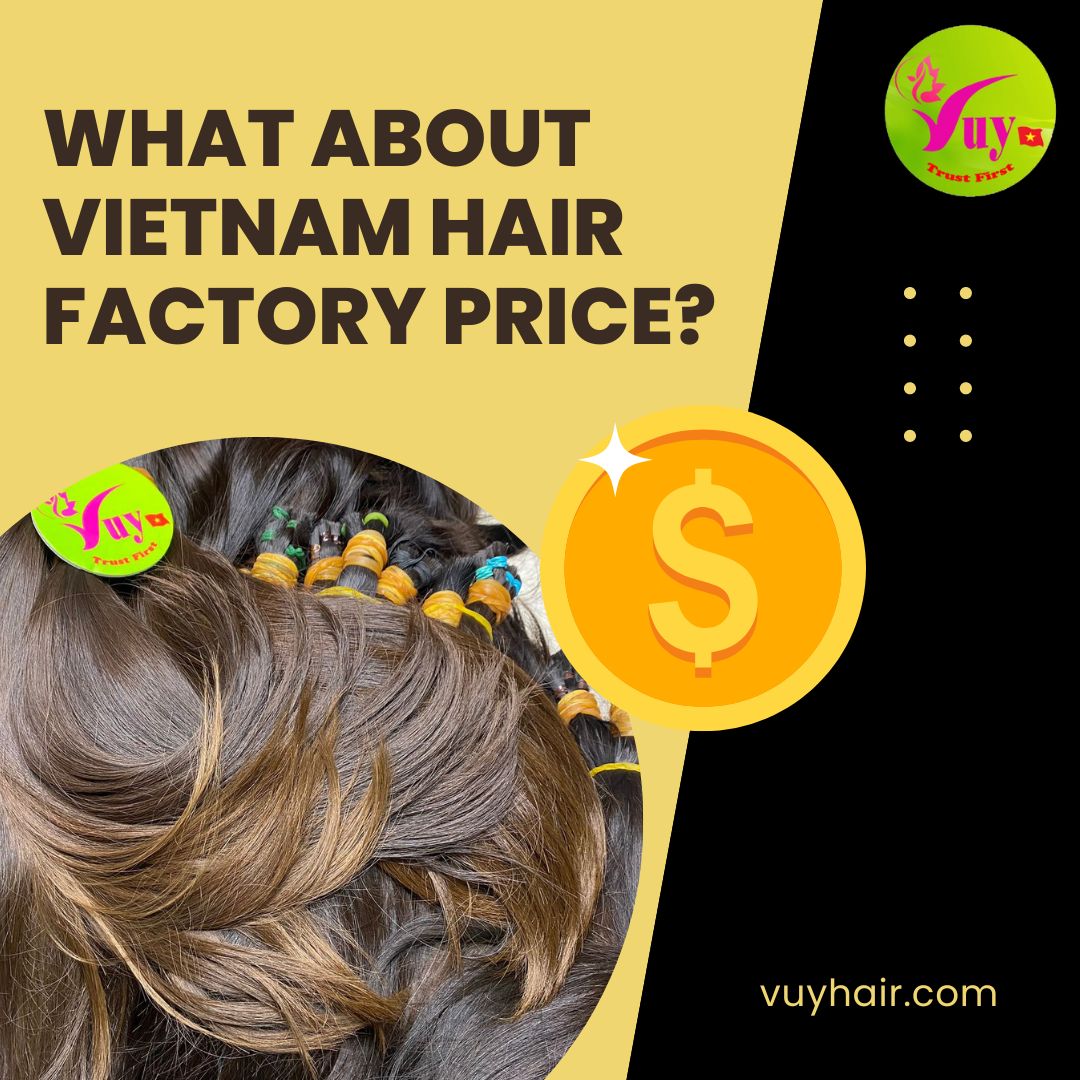 Hair Factory Discover Competitive Prices at Our Vietnam Hair Factory